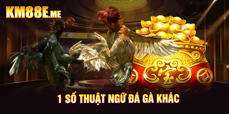 1 số thuật ngữ đá gà khác