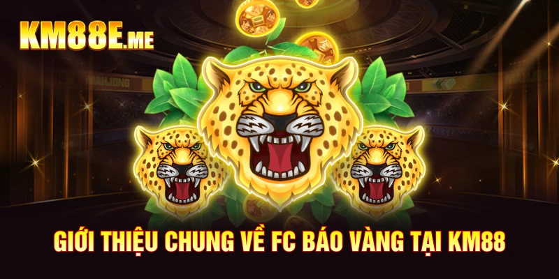 Giới thiệu chung về FC Báo Vàng tại KM88