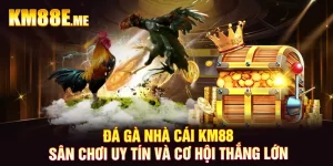 Đá Gà Nhà Cái KM88 - Sân Chơi Uy Tín Và Cơ Hội Thắng Lớn