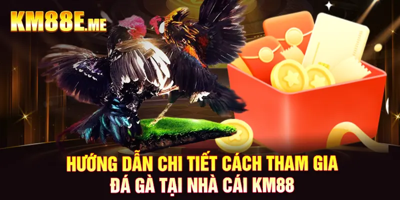 Hướng dẫn chi tiết cách tham gia đá gà tại nhà cái KM88