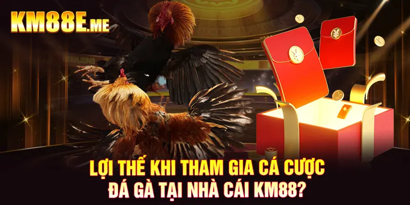 Lợi thế khi tham gia cá cược đá gà tại nhà cái KM88?