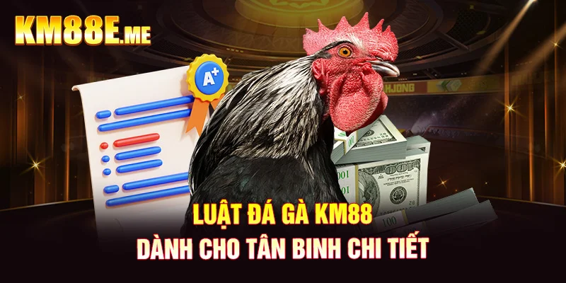 Luật đá gà KM88 dành cho tân binh chi tiết