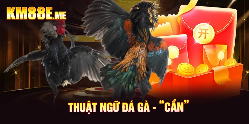 Thuật ngữ đá gà - “Cần”